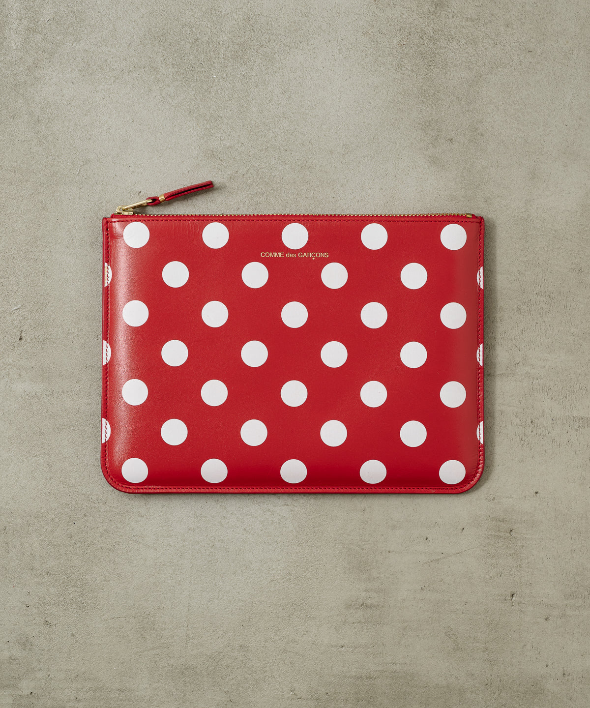 DOTS PRINTED ZIP POUCH(L)
