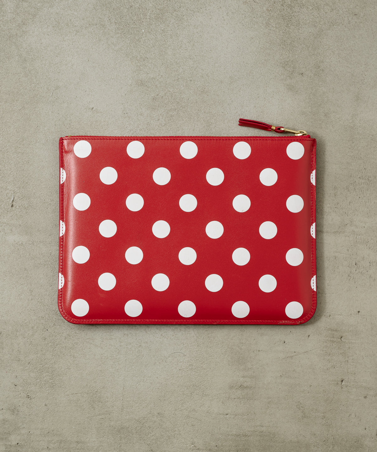 DOTS PRINTED ZIP POUCH(L)