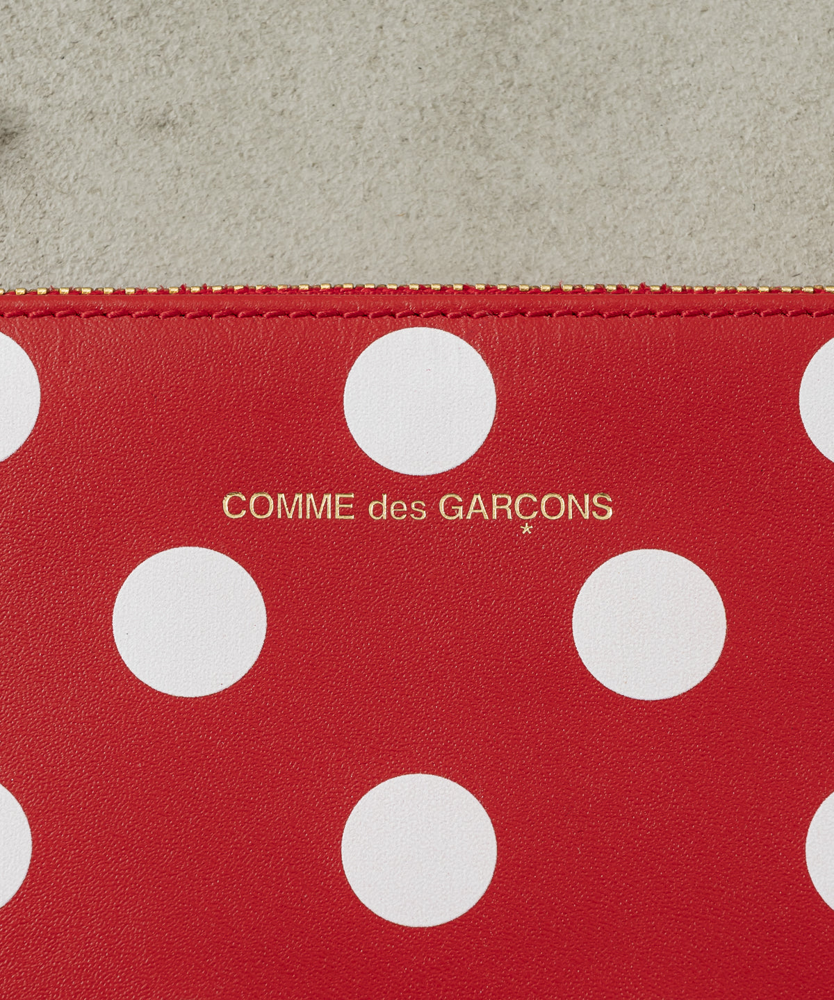 DOTS PRINTED ZIP POUCH(L)