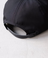 NY CAP - COMESANDGOES